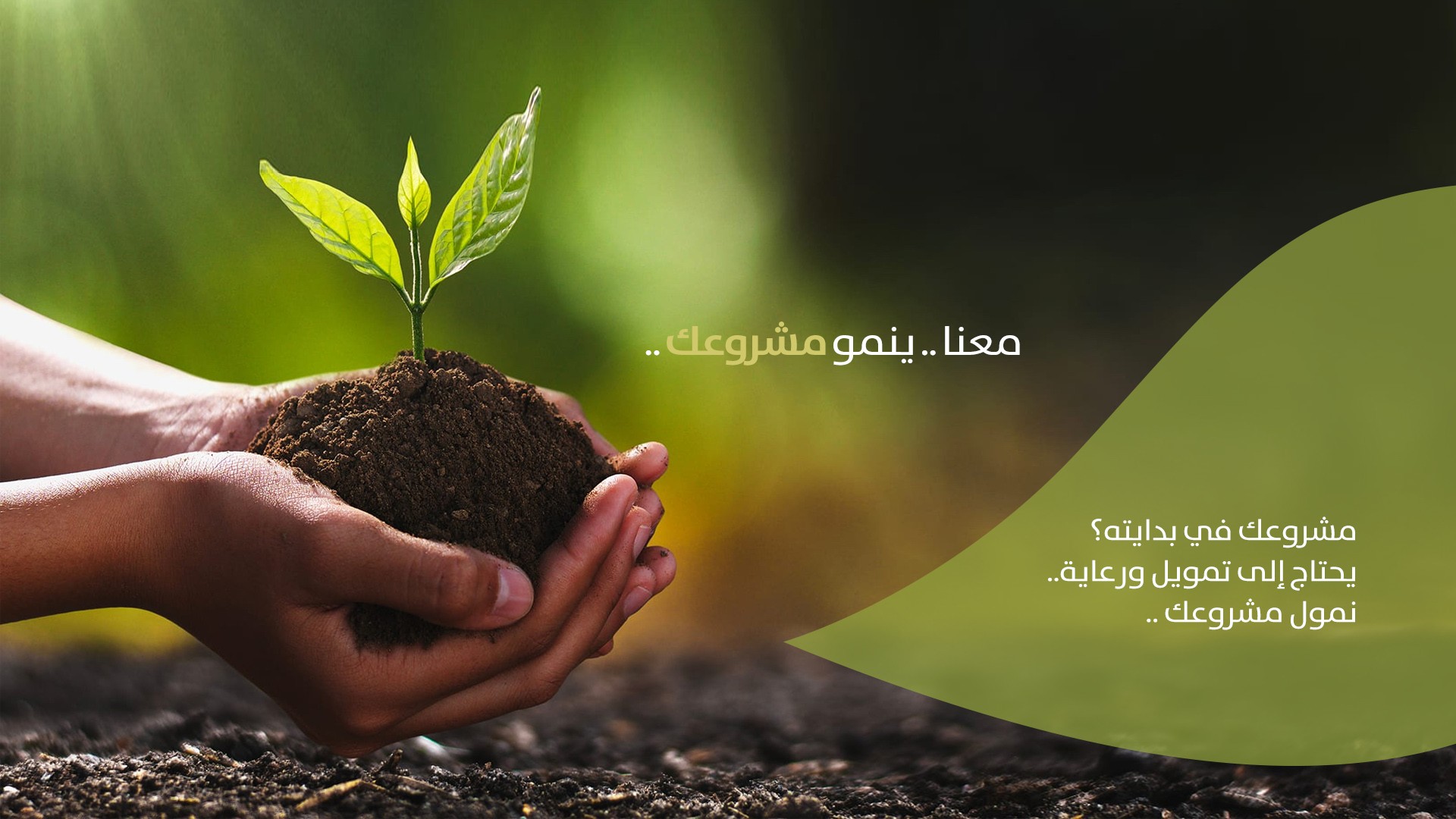 مؤسسة نماء للتنمية والتمويل الأصغر