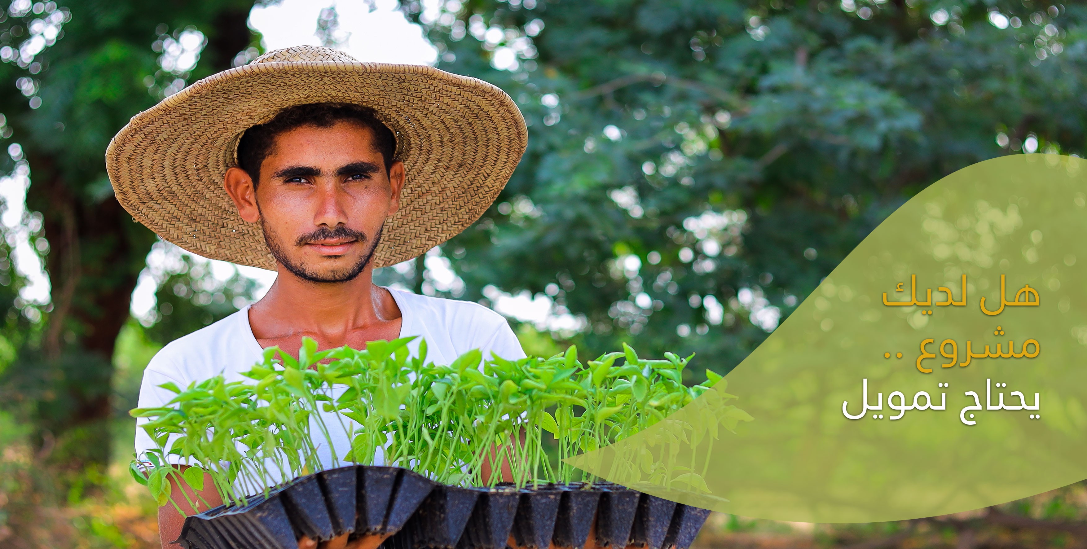 مؤسسة نماء للتنمية والتمويل الأصغر